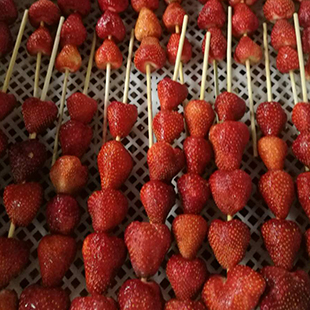 速冻草莓串